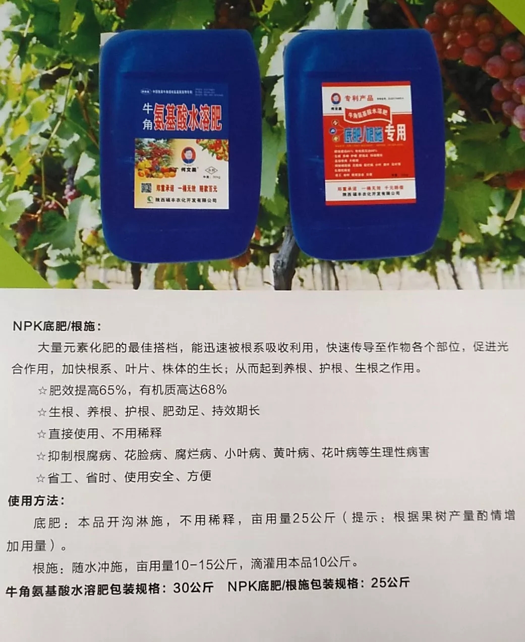 640.webp (10).jpg